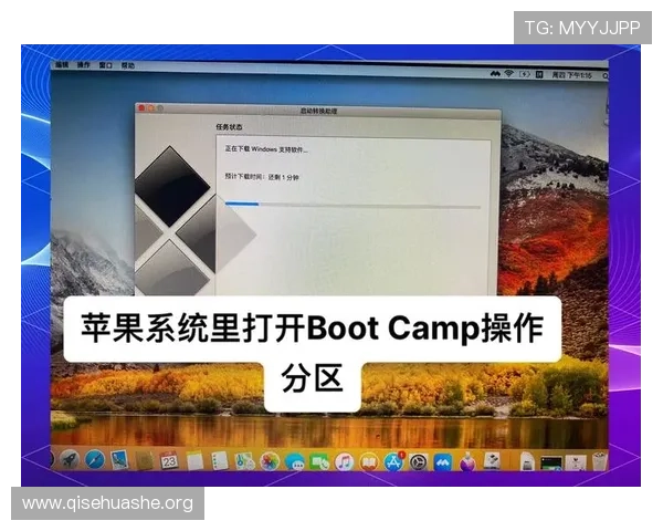 苹果用户必看，斗球官方版在苹果设备上的下载安装流程全攻略